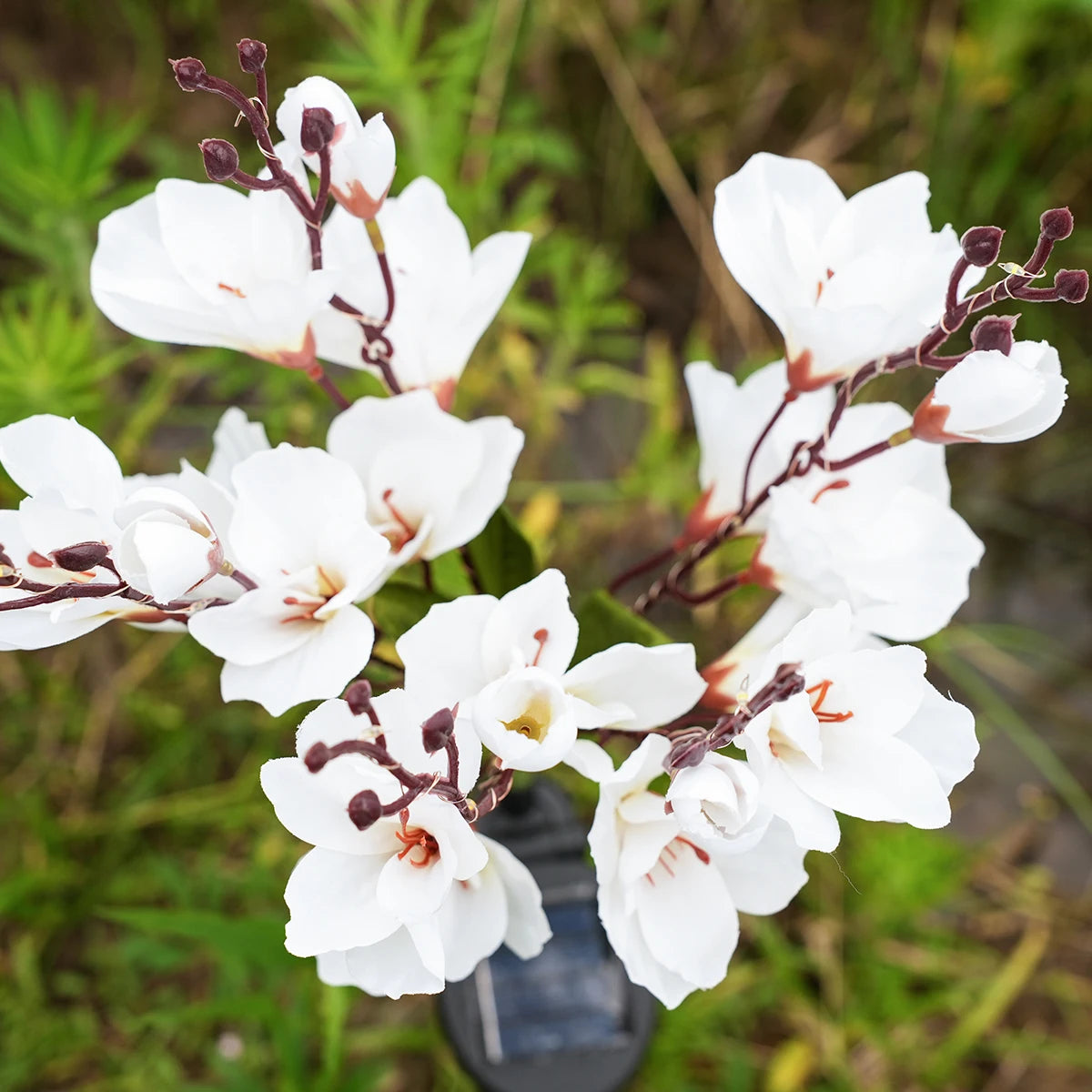 BLOMMA Solcellsdriven Magnolialampa